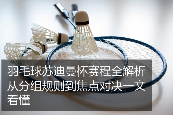 羽毛球苏迪曼杯赛程全解析从分组规则到焦点对决一文看懂